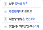 팟플레이어/팟인코더 다운로드