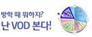 Daum VOD